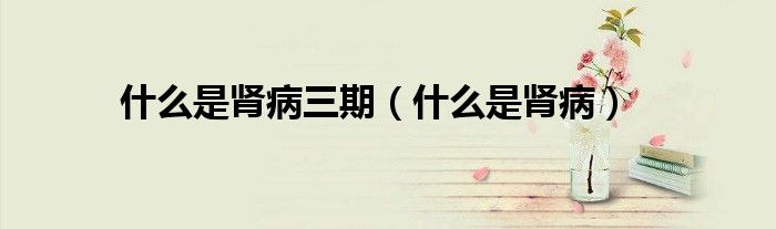 什么是腎病三期（什么是腎?。?class='thumb lazy' /></a>
		    <header>
		<h2><a  href=