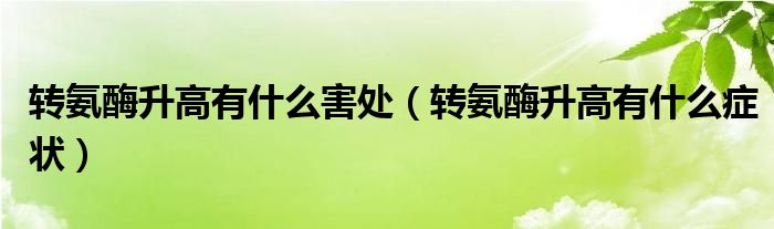 轉(zhuǎn)氨酶升高有什么害處（轉(zhuǎn)氨酶升高有什么癥狀）