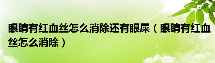 眼睛有紅血絲怎么消除還有眼屎（眼睛有紅血絲怎么消除）