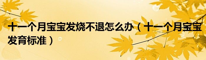 十一個月寶寶發(fā)燒不退怎么辦（十一個月寶寶發(fā)育標(biāo)準(zhǔn)）