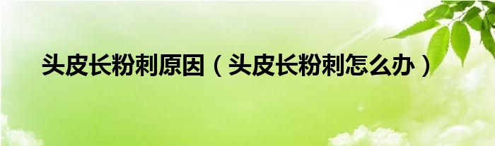 頭皮長(zhǎng)粉刺原因(頭皮長(zhǎng)粉刺怎么辦)