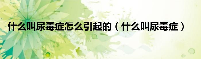什么叫尿毒癥怎么引起的(什么叫尿毒癥)