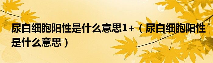 尿白細(xì)胞陽(yáng)性是什么意思1+（尿白細(xì)胞陽(yáng)性是什么意思）