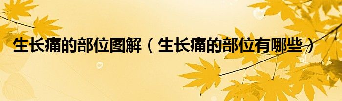 生長痛的部位圖解（生長痛的部位有哪些）