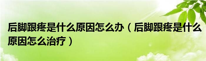 后腳跟疼是什么原因怎么辦（后腳跟疼是什么原因怎么治療）