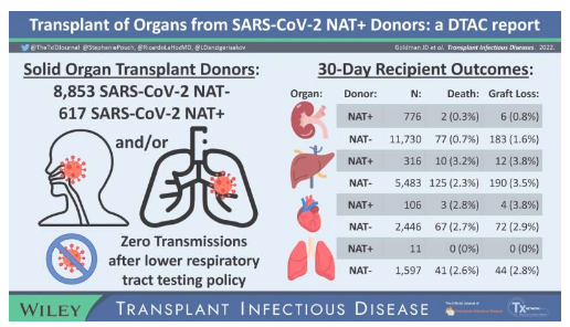 新研究評估近期 SARS-CoV-2 檢測呈陽性的器官捐獻者移植的安全性