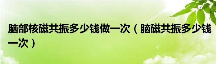 腦部核磁共振多少錢做一次（腦磁共振多少錢一次）