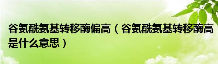 谷氨酰氨基轉(zhuǎn)移酶偏高（谷氨酰氨基轉(zhuǎn)移酶高是什么意思）