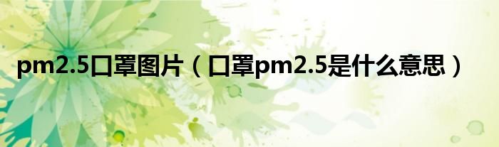 pm2.5口罩圖片（口罩pm2.5是什么意思）