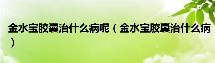 金水寶膠囊治什么病呢（金水寶膠囊治什么?。? /></span>
		<span id=