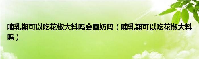 哺乳期可以吃花椒大料嗎會(huì)回奶嗎（哺乳期可以吃花椒大料嗎）