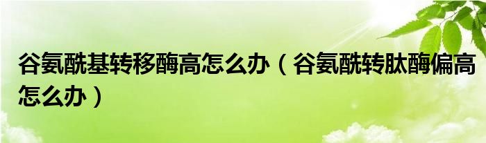 谷氨?；D(zhuǎn)移酶高怎么辦（谷氨酰轉(zhuǎn)肽酶偏高怎么辦）