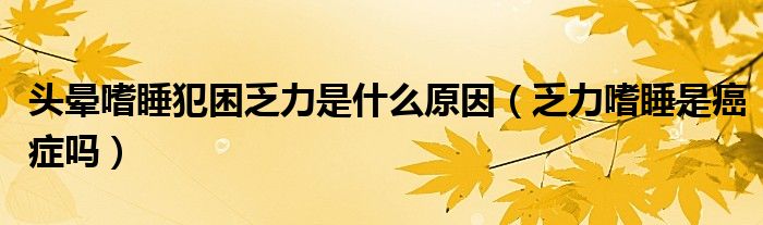 頭暈嗜睡犯困乏力是什么原因（乏力嗜睡是癌癥嗎）