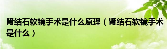 腎結(jié)石軟鏡手術(shù)是什么原理（腎結(jié)石軟鏡手術(shù)是什么）