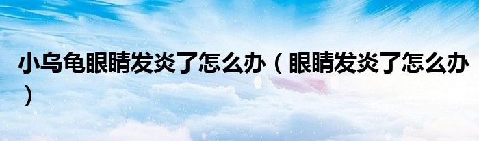 小烏龜眼睛發(fā)炎了怎么辦（眼睛發(fā)炎了怎么辦）