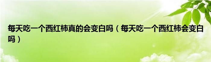 每天吃一個西紅柿真的會變白嗎（每天吃一個西紅柿會變白嗎）