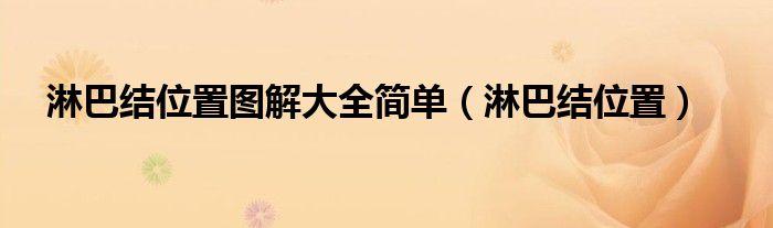 淋巴結(jié)位置圖解大全簡(jiǎn)單（淋巴結(jié)位置）