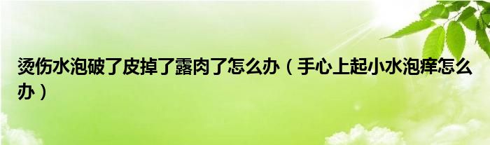 燙傷水泡破了皮掉了露肉了怎么辦（手心上起小水泡癢怎么辦）