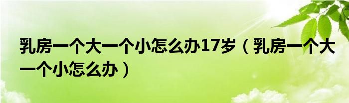 乳房一個(gè)大一個(gè)小怎么辦17歲（乳房一個(gè)大一個(gè)小怎么辦）