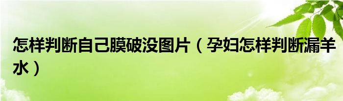 怎樣判斷自己膜破沒圖片（孕婦怎樣判斷漏羊水）