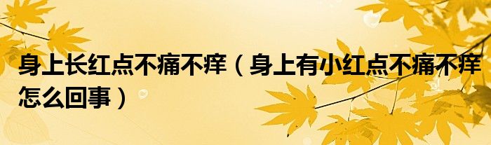 身上長(zhǎng)紅點(diǎn)不痛不癢（身上有小紅點(diǎn)不痛不癢怎么回事）