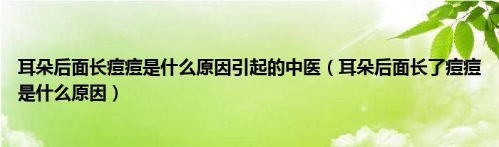 耳朵后面長痘痘是什么原因引起的中醫(yī)（耳朵后面長了痘痘是什么原因）