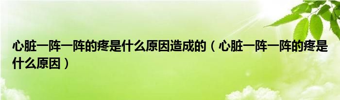 心臟一陣一陣的疼是什么原因造成的（心臟一陣一陣的疼是什么原因）