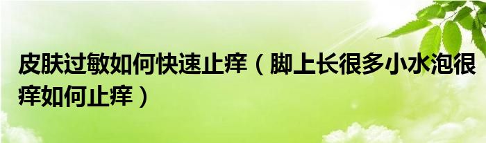 皮膚過敏如何快速止癢（腳上長(zhǎng)很多小水泡很癢如何止癢）