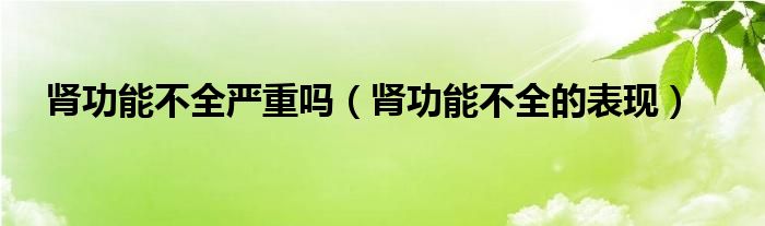 腎功能不全嚴(yán)重嗎（腎功能不全的表現(xiàn)）