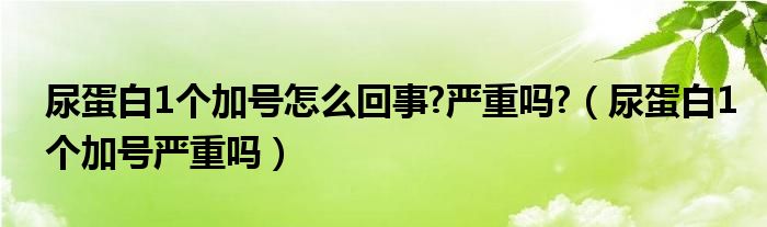 尿蛋白1個(gè)加號(hào)怎么回事?嚴(yán)重嗎?（尿蛋白1個(gè)加號(hào)嚴(yán)重嗎）