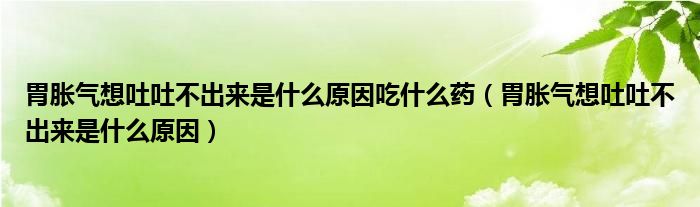 胃脹氣想吐吐不出來是什么原因吃什么藥（胃脹氣想吐吐不出來是什么原因）