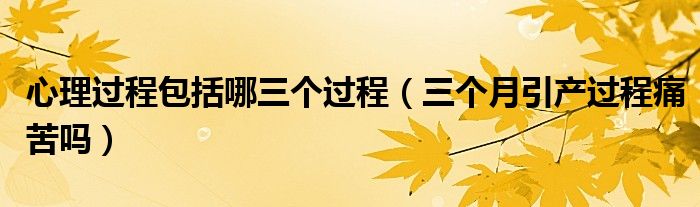 心理過(guò)程包括哪三個(gè)過(guò)程（三個(gè)月引產(chǎn)過(guò)程痛苦嗎）