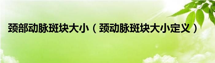 頸部動脈斑塊大?。i動脈斑塊大小定義）