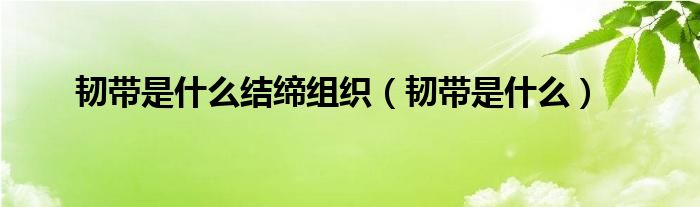 韌帶是什么結(jié)締組織（韌帶是什么）