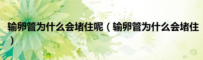 輸卵管為什么會堵住呢（輸卵管為什么會堵?。?class='thumb lazy' /></a>
		    <header>
		<h2><a  href=