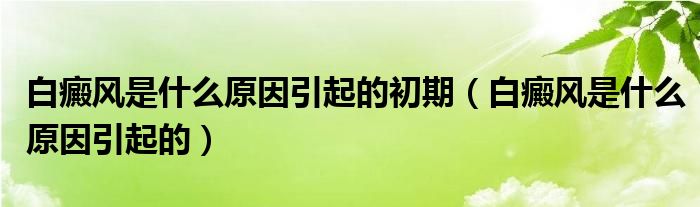 白癜風是什么原因引起的初期（白癜風是什么原因引起的）