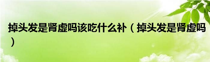 掉頭發(fā)是腎虛嗎該吃什么補(bǔ)（掉頭發(fā)是腎虛嗎）