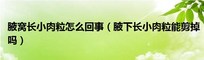 腋窩長小肉粒怎么回事（腋下長小肉粒能剪掉嗎）