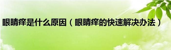 眼睛癢是什么原因（眼睛癢的快速解決辦法）