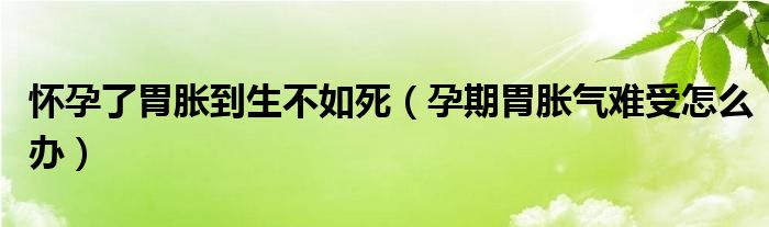 懷孕了胃脹到生不如死（孕期胃脹氣難受怎么辦）