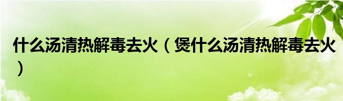 什么湯清熱解毒去火（煲什么湯清熱解毒去火）