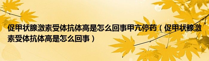 促甲狀腺激素受體抗體高是怎么回事甲亢停藥（促甲狀腺激素受體抗體高是怎么回事）