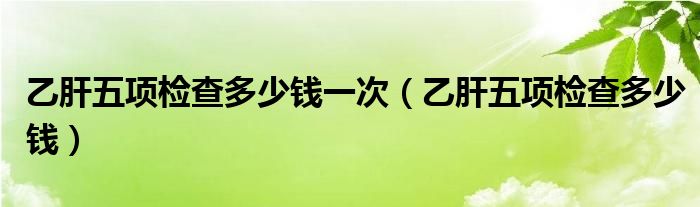 乙肝五項檢查多少錢一次（乙肝五項檢查多少錢）