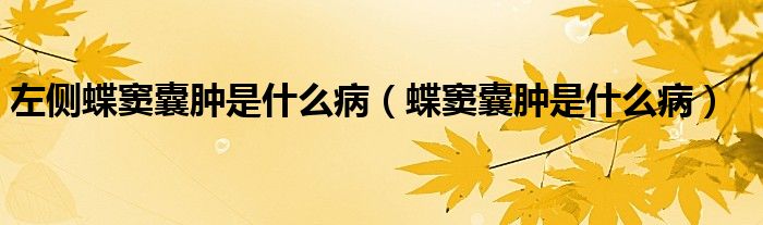 左側(cè)蝶竇囊腫是什么?。ǖ]囊腫是什么病）