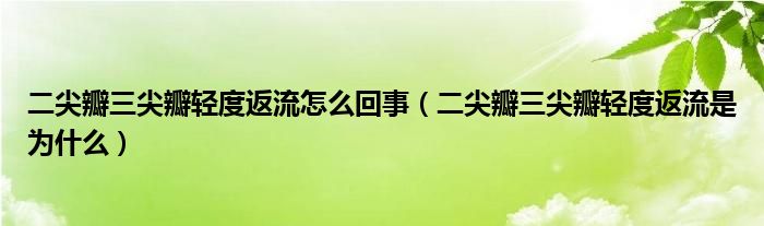 二尖瓣三尖瓣輕度返流怎么回事（二尖瓣三尖瓣輕度返流是為什么）