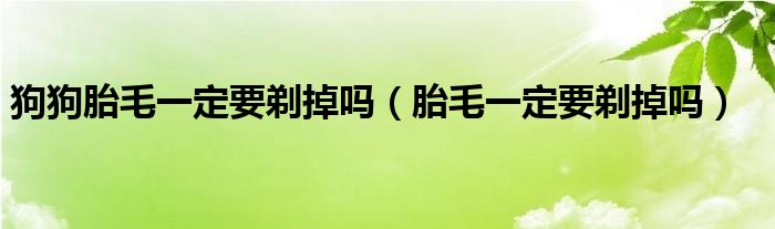 狗狗胎毛一定要剃掉嗎（胎毛一定要剃掉嗎）