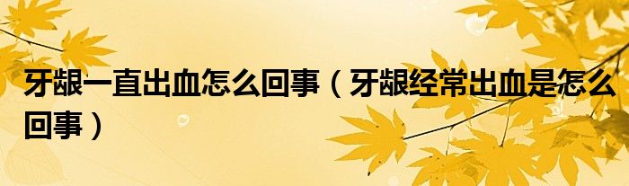 牙齦一直出血怎么回事（牙齦經(jīng)常出血是怎么回事）