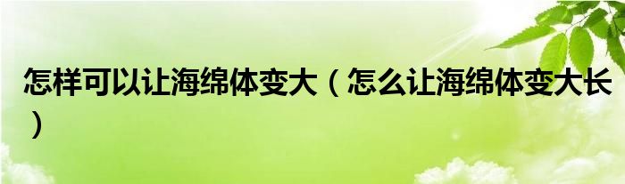 怎樣可以讓海綿體變大（怎么讓海綿體變大長(zhǎng)）