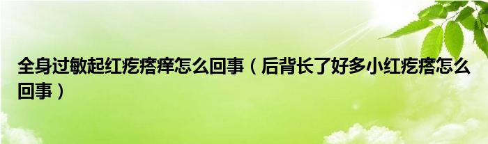 全身過敏起紅疙瘩癢怎么回事（后背長(zhǎng)了好多小紅疙瘩怎么回事）