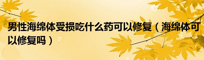 男性海綿體受損吃什么藥可以修復(fù)（海綿體可以修復(fù)嗎）